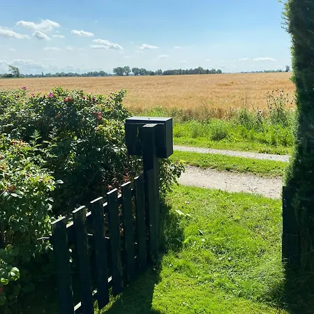 Feriehus Family-friendly Holiday-home On North Funen Otterup